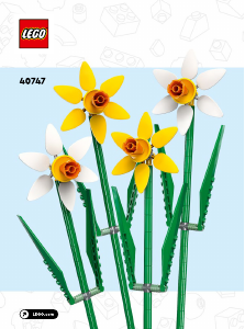 Handleiding Lego set 40747 Creator Narcissen