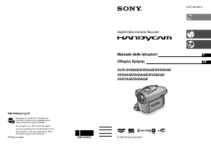 Manuale Sony DCR-DVD653E Videocamera