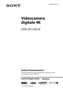 Manuale Sony FDR-AX1E Videocamera