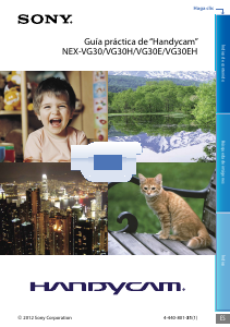 Manual de uso Sony NEX-VG30EH Videocámara