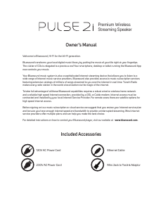 Manual Bluesound Pulse 2i Speaker