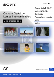 Manual de uso Sony Alpha NEX-5RK Cámara digital