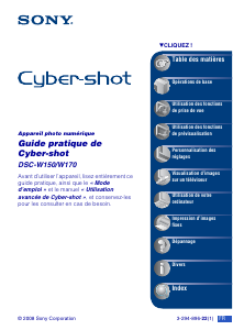 Mode d’emploi Sony Cyber-shot DSC-W170 Appareil photo numérique