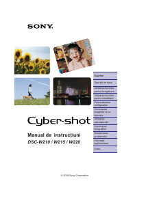 Manual Sony Cyber-shot DSC-W210 Cameră digitală