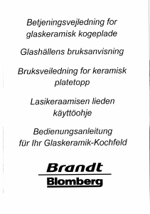 Bruksanvisning Brandt HKH26B1N Häll