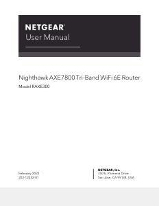 Manual Netgear RAXE300 Router