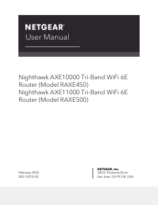 Manual Netgear RAXE450 Router