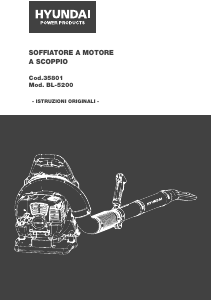 Manuale Hyundai BL-5200 Soffiatore