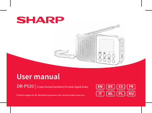 Handleiding Sharp DR-P520(GY) Radio