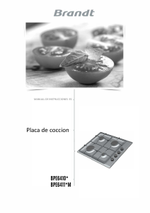 Manual de uso Brandt BPE6410XE Placa