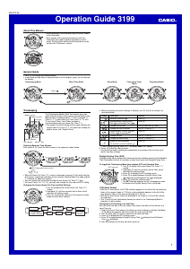 Manual Casio AE-2000WD-1AEF Watch