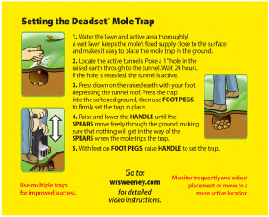 Handleiding Sweeney's Deadset Mollenklem