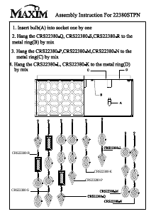 Manual Maxim 22380STPN Symmetry Lamp