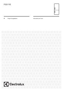 Manuale Electrolux FI22E Frigorifero-congelatore