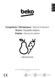 Εγχειρίδιο BEKO B5RCNE535ZXB Ψυγειοκαταψύκτης