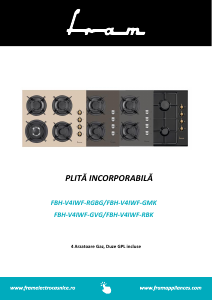 Manual Fram FBH-V4IWF-RGBG Plită