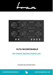 Manual Fram FBH-V4IWFDL-GBK Plită