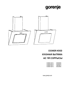 Handleiding Gorenje WHI626E6B Afzuigkap