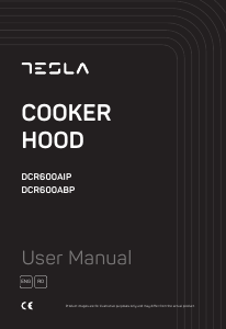 Handleiding Tesla DCR600AIP Afzuigkap