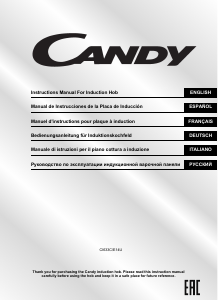 Manual de uso Candy CI633C/E14U Placa