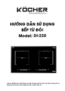 Hướng dẫn sử dụng Köcher DI-220 Tarô