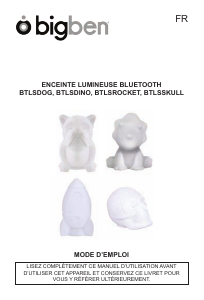 Manuale Bigben BTLSSKULL Altoparlante