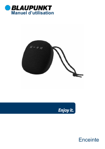 Mode d’emploi Blaupunkt BLP3120 Haut-parleur