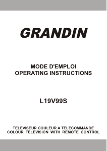 Mode d’emploi Grandin L19V99S Téléviseur LCD