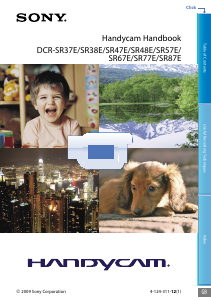 Manual Sony DCR-SR38E Camcorder