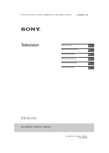 Manuale Sony Bravia KDL-49WD757 LCD televisore