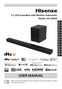 Manuale Hisense U5120GW+ Sistema home theater
