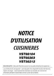 Mode d’emploi Esco VST56212B Cuisinière