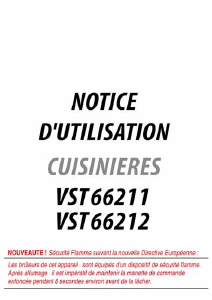 Mode d’emploi Esco VST66212XC Cuisinière