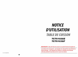 Mode d’emploi Esco TCT6102GE Table de cuisson