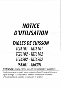 Mode d’emploi Esco TCT6102TDF Table de cuisson