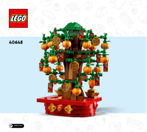 Rokasgrāmata Lego set 40648 Holiday & Events Naudas koks