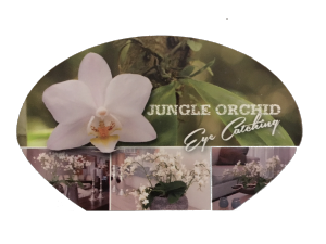 Manual Pannekoek Jungle Orchid Plant