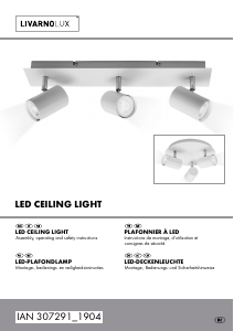 Manual LivarnoLux IAN 307291 Lamp