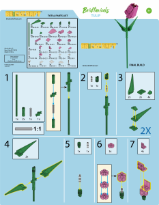 Manual Brickcraft set 72001 Bricktanicals Tulip