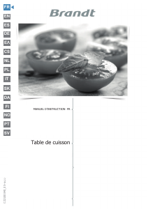 Manual de uso Brandt BPI1641SB Placa