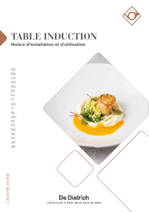 Manual De Dietrich DPI4810B Hob