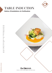 Manual De Dietrich DPI5320M Hob