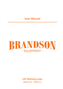 Manuale Brandson 305571 Lampada