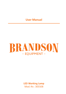 Manuale Brandson 306991 Lampada