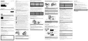 Manual de uso Sony Cyber-shot DSC-H300 Cámara digital