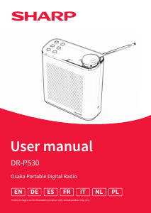 Handleiding Sharp DR-P530(GY) Radio