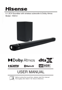 Manual Hisense HS512 Sistemul home cinema