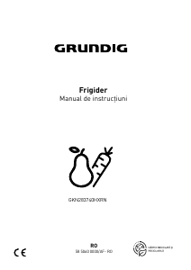 Manual Grundig GKN283740HXRN Combina frigorifica