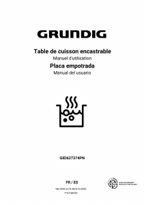 Manual de uso Grundig GIEI627374PN Placa