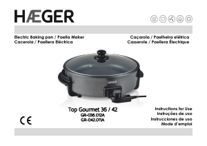 Mode d’emploi Haeger GR-036.012A Poêle